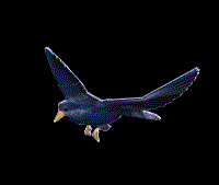 as227.gif